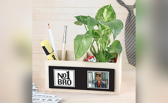 Customised Desk Plant Customised Desk Plant