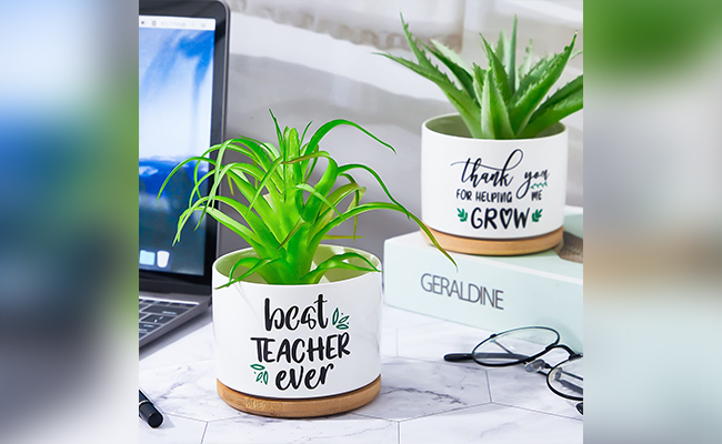 Potted Plants - Teachers Day Gifts Potted Plants - Teachers Day Gifts