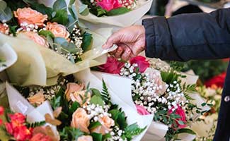 Customer Reviews and Reputation
