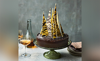 Chocolate Shards_M