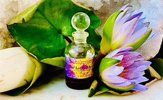 Modern Uses of the Lotus Flower