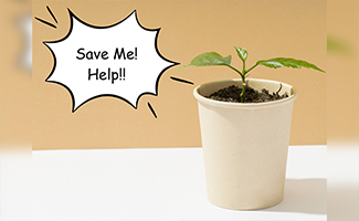 Plants Can Call for Backup
