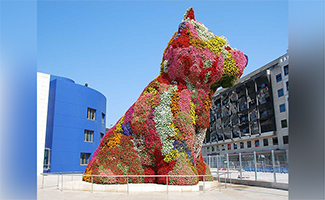 Jeff Koons’ Puppy