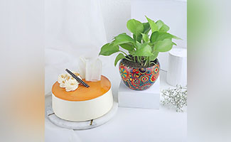 Plants and Cakes