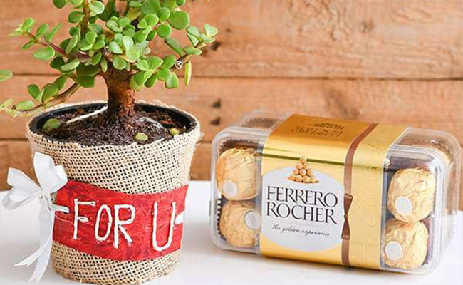 Plants and Chocolates