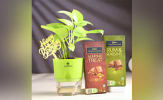Plants and Chocolates