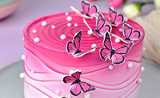 The Butterfly Fantasy Cake
