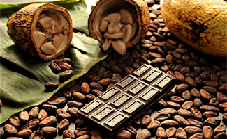 Chocolate Day 2025 History: