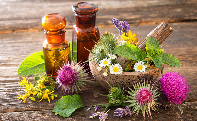 The Healing Power of Flowers