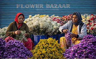 flowers in Bangalore