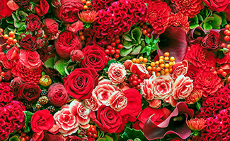 meaning behind different flower colors