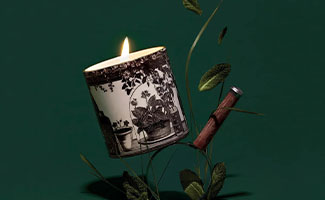 best gifts for plant lovers