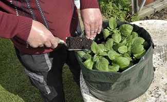 best gifts for plant lovers