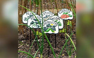 best gifts for plant lovers