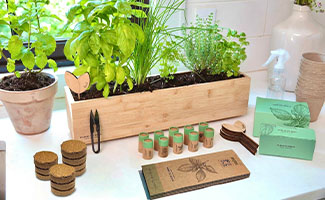 best gifts for plant lovers