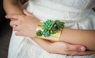 best gifts for plant lovers