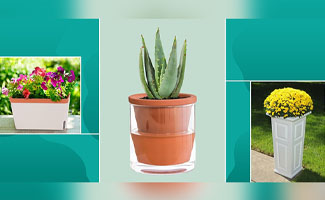 best gifts for plant lovers