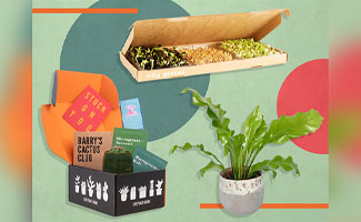 best gifts for plant lovers