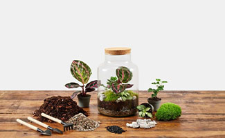 best gifts for plant lovers