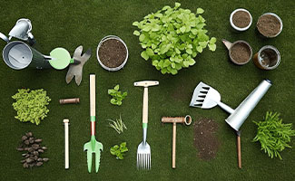 best gifts for plant lovers