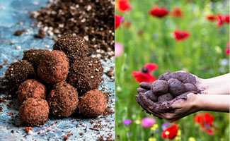best gifts for plant lovers