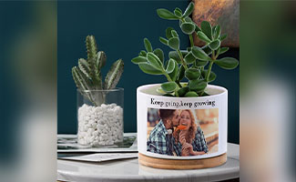 best gifts for plant lovers