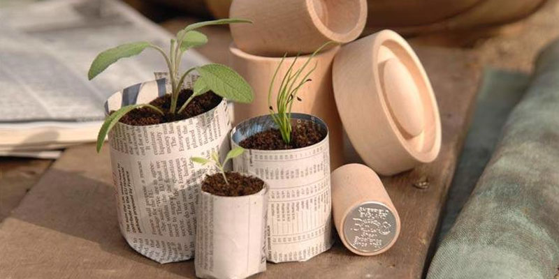 Best Ways To Reduce Plastic Waste In Your Garden