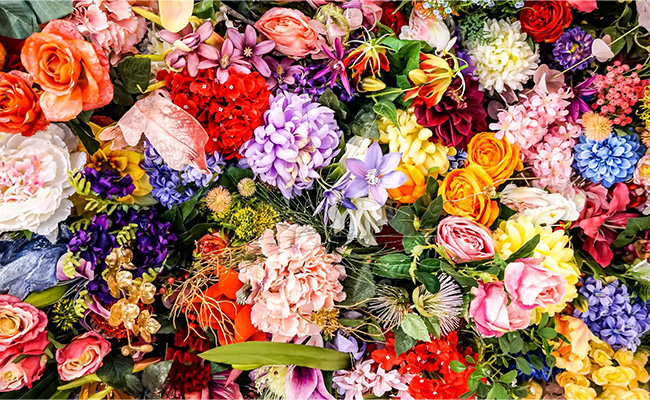 Popular Flowers for Gifting in Mumbai