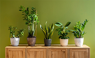 Beautify Any Space