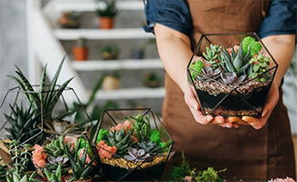 Personalized potted plants