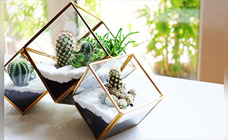Glass Terrarium Glow