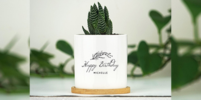 personalised potted plants