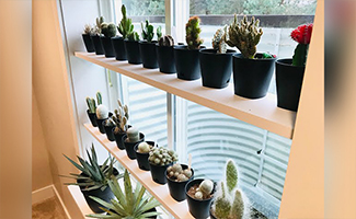 Shelf Corners with Contrast