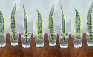 The Problem of Propagation