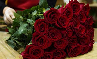 Rose Day 2025: Date and History