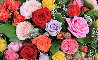 Symbolism of Rose Day