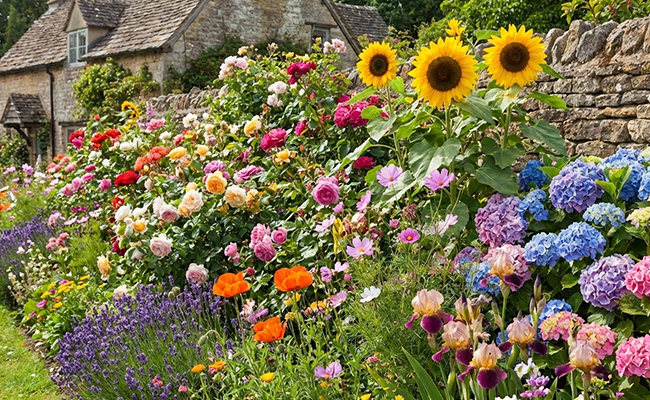 Timeless Valentine Gift