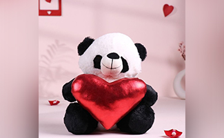 Teddy Bear for Valentine’s Day Gift