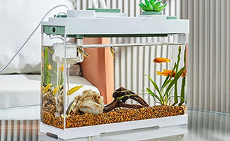 Desctop Aquariums